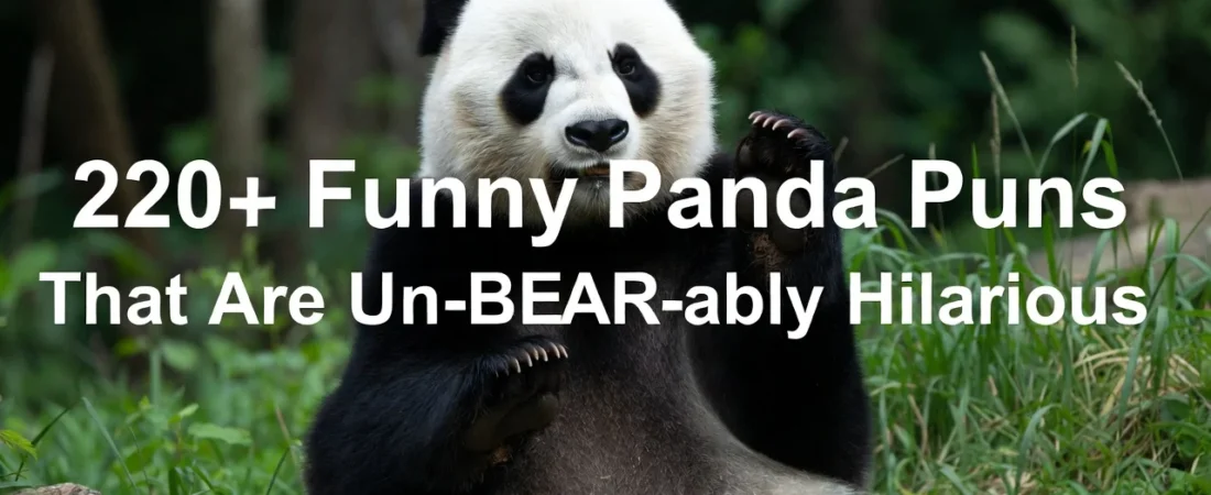 150+ Funny Panda Puns That Are Bear-illiant ๐