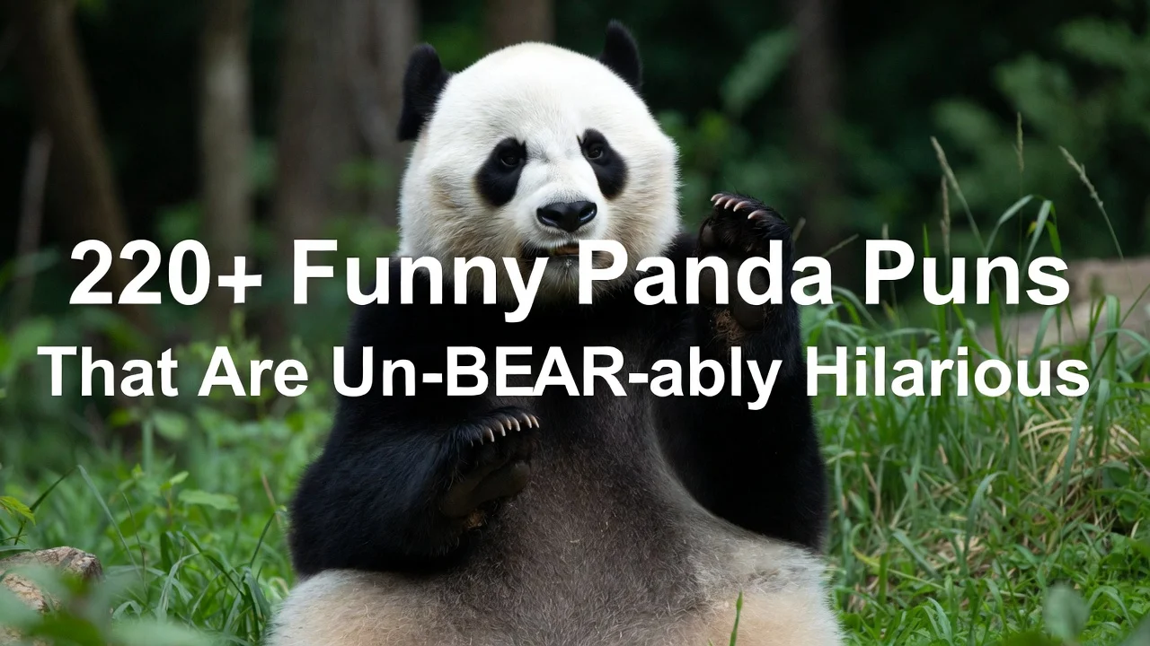 150+ Funny Panda Puns That Are Bear-illiant đ