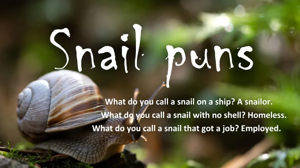 funny snail puns