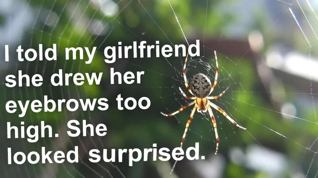 funny spider puns