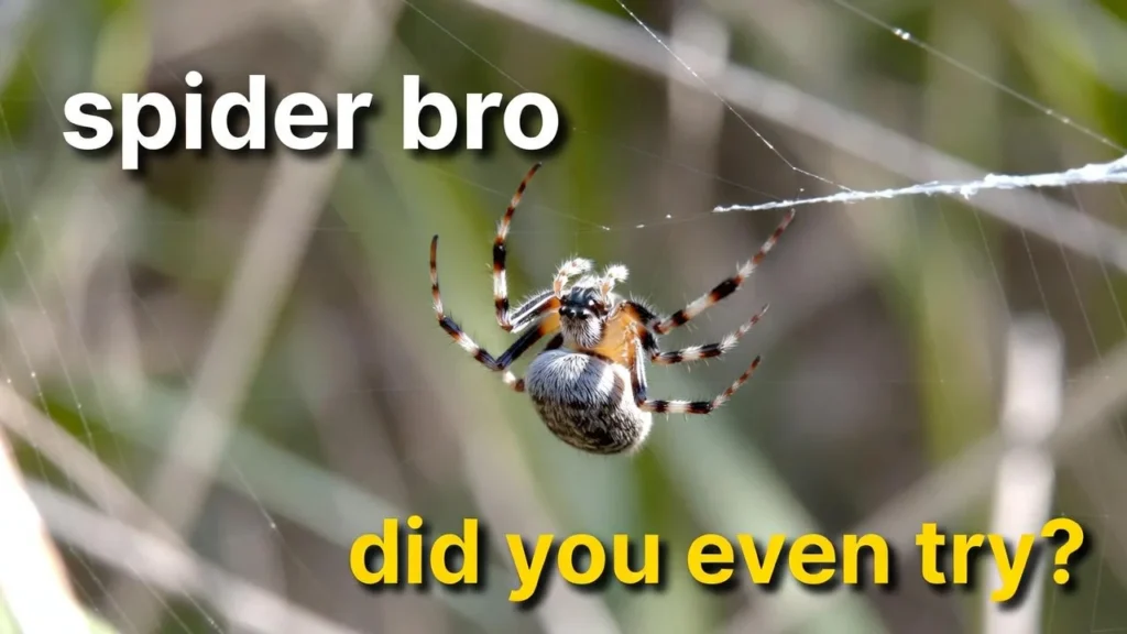 funnyn spider puns